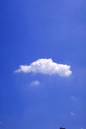 川越で信頼できる葬儀サービスを選ぶための2025年最新版ガイド