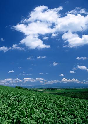 浜松市中央区に根ざした安心の葬儀サービス【富士葬祭 小豆餅】の特徴と店舗情報