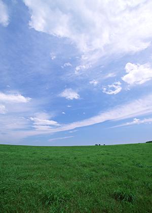 三鷹市で家族葬を考えているなら。