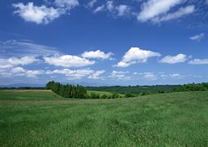 酒田市で水子供養を希望している時は