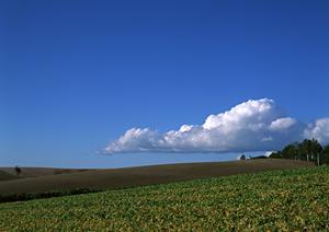 静岡県掛川市における信頼と実績の葬儀サービス｜富士葬祭掛川の特徴と魅力