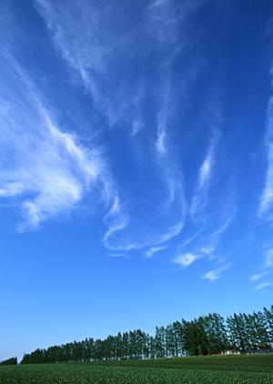 静岡市駿河区に新規オープンした家族葬専門の斎場｜家族葬のタクセル西中原の特徴とサービス内容