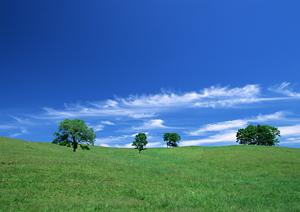 静岡市清水区にある家族葬の専門斎場｜家族葬のタクセル北矢部町の特徴とサービス内容