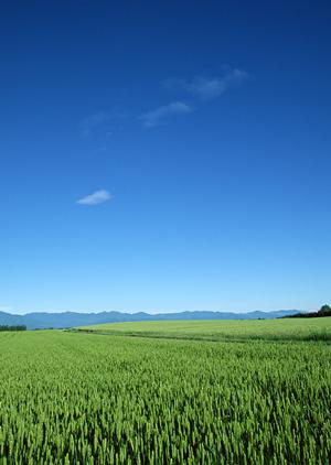 静岡県富士宮市で選ばれる葬儀社、富士葬祭の特徴とサービス詳細