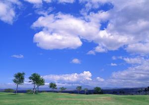 銀座線田原町駅から徒歩5分の23区永代供養寺