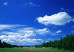 富士市瓜島町にある安心の葬儀サービス：富士葬祭 富士瓜島の特徴と魅力