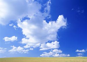 静岡県浜松市中央区に新規オープンした家族葬専門斎場｜安心・低価格・多様な宗派対応の葬儀サービス