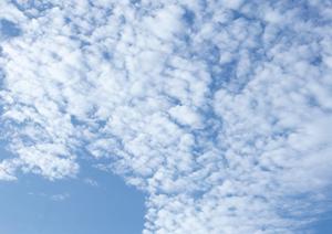 【公式】さがみ典礼佐野：家族葬・一般葬に最適な安心の葬儀サービスをご紹介