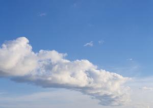 静岡県藤枝市の家族葬専門斎場「家族葬のタクセル高柳」：安心・低価格で実現する理想の葬儀プラン