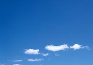 仏壇の購入ならここがおすすめです