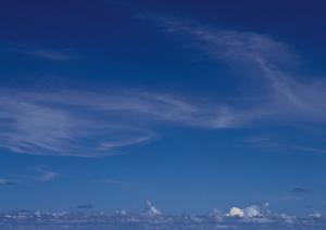 静岡でご朱印集めをしたい方にお勧め