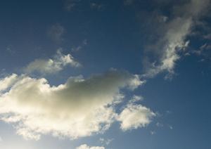 【公式】ティア越谷：信頼と実績の葬儀場・斎場紹介｜地域に寄り添った安心のサービス