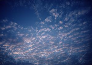 静岡市で安心・信頼の葬儀を実現する【富士葬祭 慈悲尾】の特徴と店舗情報