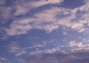 新しいお墓のスタイルで樹木葬を