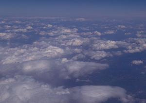 鹿児島でペット葬儀を行うならこちらで