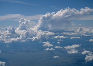 ペットのお墓を取り扱っているところ