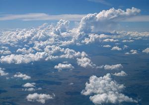 色々なジャンルの返礼品を置いてある